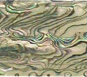 Green Dark abalone sheets