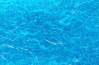 Ocean Blue japanese colored silver leaf